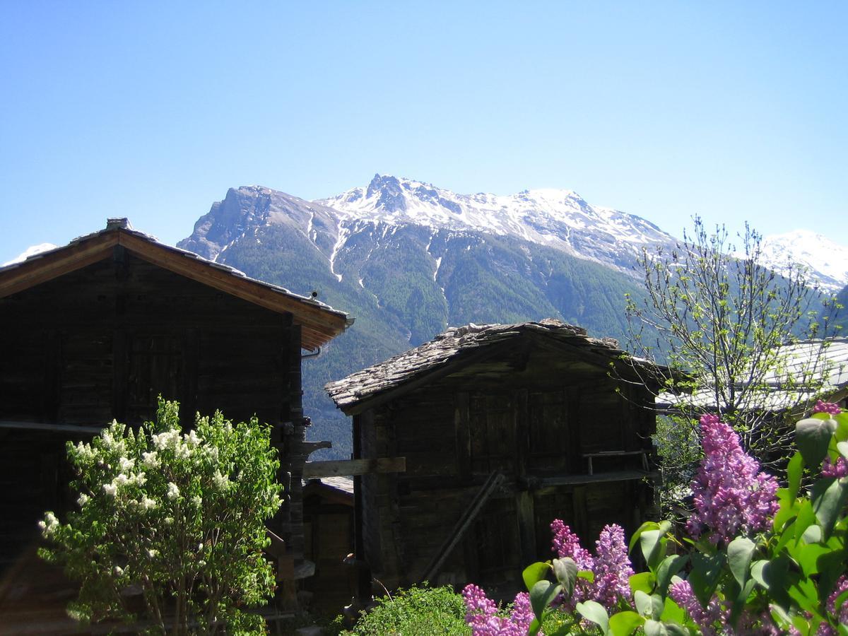 Bergquell Haus D Apartamento Blatten bei Naters Exterior foto